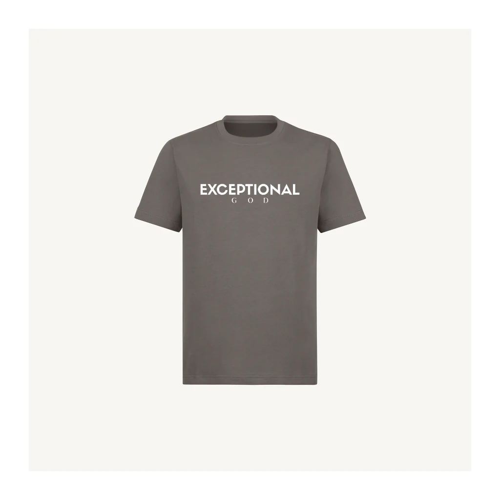 Regular Tee Embroidered - Classic