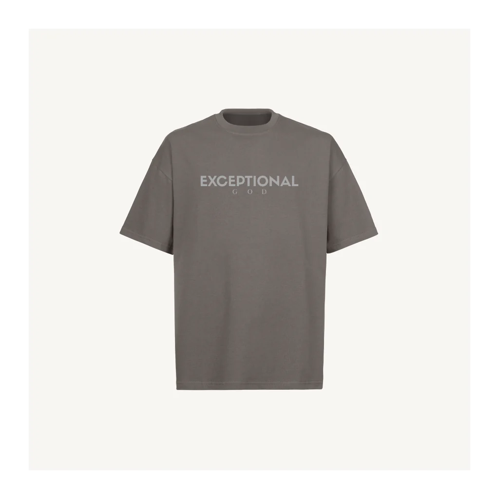 Oversized T-shirt Embroidered - Classic